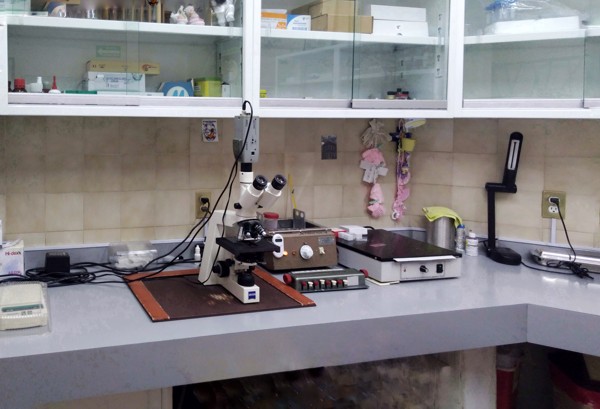 laboratorio de andrologia