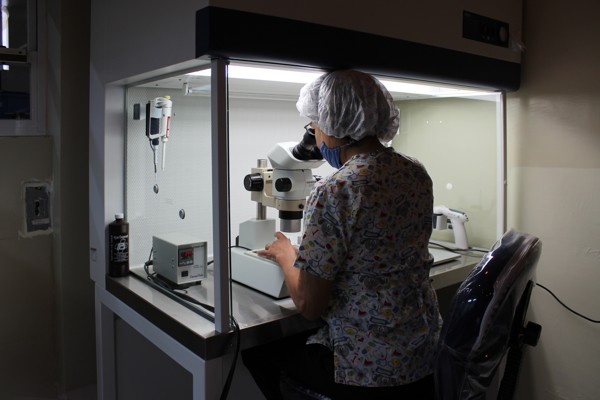 laboratorio de reproduccion asistida